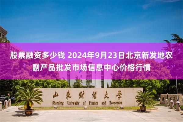 股票融资多少钱 2024年9月23日北京新发地农副产品批发市场信息中心价格行情