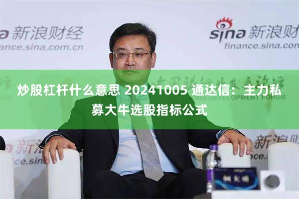 炒股杠杆什么意思 20241005 通达信：主力私募大牛选股指标公式