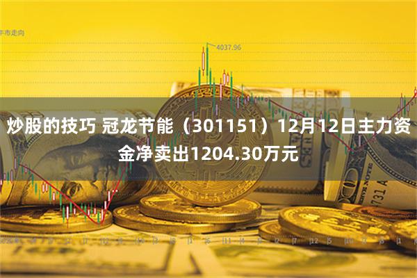 炒股的技巧 冠龙节能（301151）12月12日主力资金净卖出1204.30万元