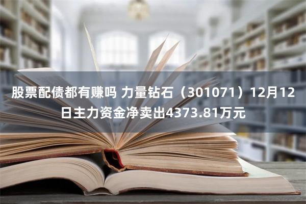 股票配债都有赚吗 力量钻石（301071）12月12日主力资金净卖出4373.81万元